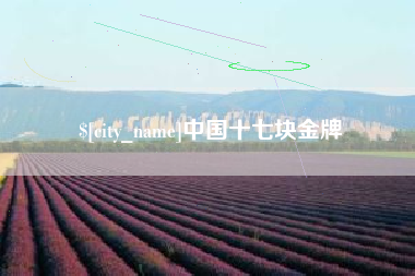 海拉尔中国十七块金牌