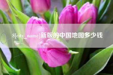 海拉尔新版的中国地图多少钱