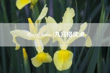 海拉尔九宫格优点
