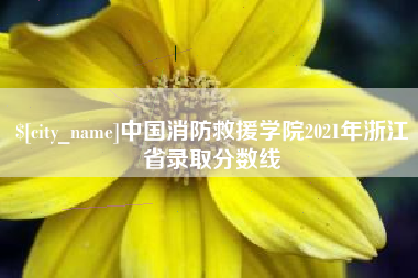 海拉尔中国消防救援学院2021年浙江省录取分数线