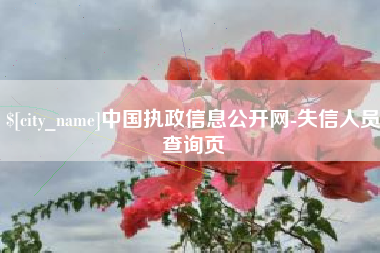 海拉尔中国执政信息公开网-失信人员查询页