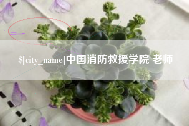 海拉尔中国消防救援学院 老师