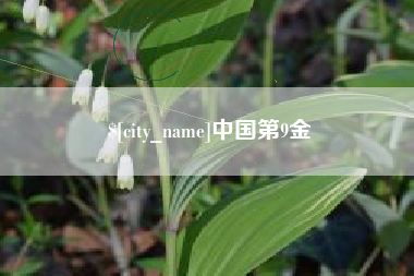 海拉尔中国第9金