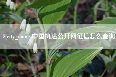海拉尔中国执法公开网征信怎么查询