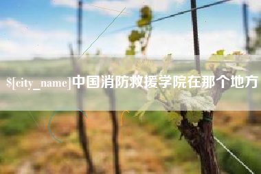 海拉尔中国消防救援学院在那个地方