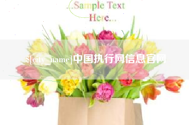 海拉尔中国执行网信息官网