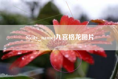 海拉尔九宫格龙图片