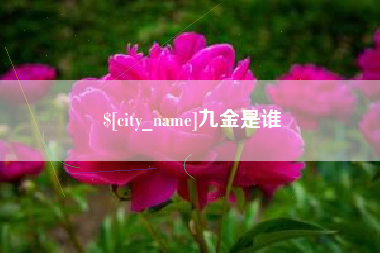 海拉尔九金是谁