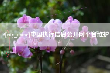 海拉尔中国执行信息公开网平台维护