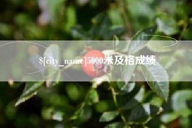 海拉尔5000米及格成绩