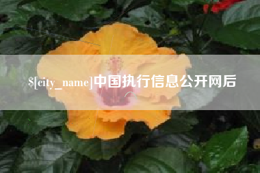 海拉尔中国执行信息公开网后