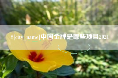 海拉尔中国金牌是哪些项目2021