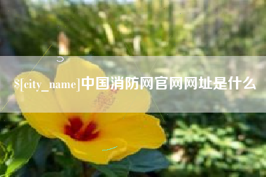 海拉尔中国消防网官网网址是什么