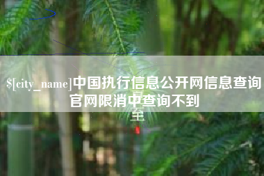 海拉尔中国执行信息公开网信息查询官网限消中查询不到