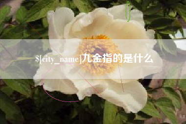 海拉尔九金指的是什么