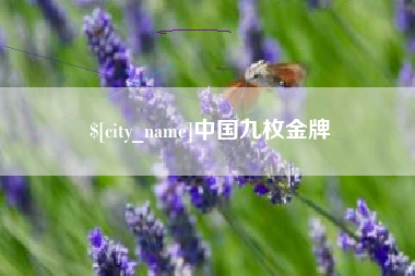 海拉尔中国九枚金牌
