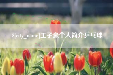 海拉尔王子豪个人简介乒乓球
