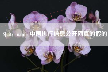 海拉尔中国执行信息公开网真的假的