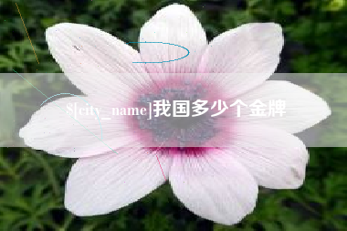 海拉尔我国多少个金牌
