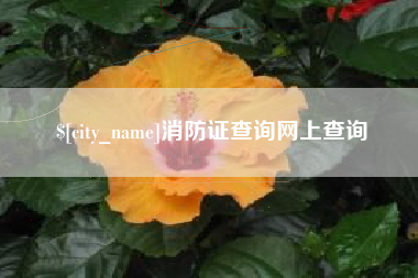 海拉尔消防证查询网上查询