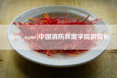 海拉尔中国消防救援学院副院长