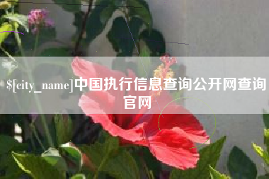 海拉尔中国执行信息查询公开网查询官网