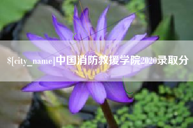 海拉尔中国消防救援学院2020录取分