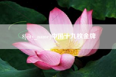 海拉尔中国十九枚金牌
