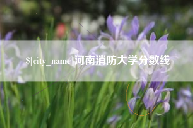 海拉尔河南消防大学分数线