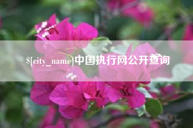 海拉尔中国执行网公开查询