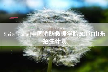 海拉尔中国消防救援学院2021年山东招生计划