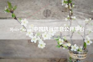 海拉尔中国执行信息公开平台