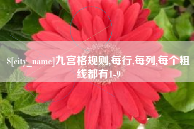 海拉尔九宫格规则,每行,每列,每个粗线都有1-9