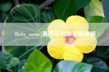 海拉尔消防证初级查询系统