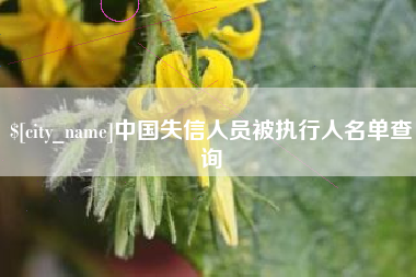 海拉尔中国失信人员被执行人名单查询
