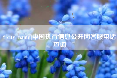海拉尔中国执行信息公开网客服电话查询