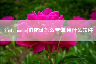海拉尔消防证怎么查询,用什么软件