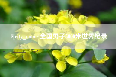 海拉尔全国男子5000米世界纪录