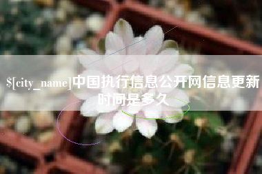 海拉尔中国执行信息公开网信息更新时间是多久