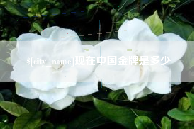 海拉尔现在中国金牌是多少