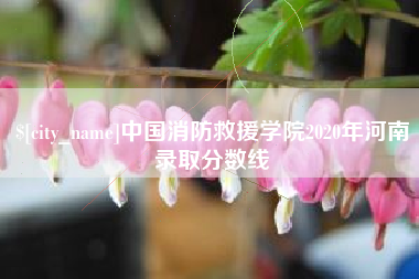 海拉尔中国消防救援学院2020年河南录取分数线