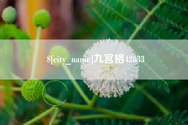 海拉尔九宫格42633