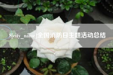 海拉尔全国消防日主题活动总结