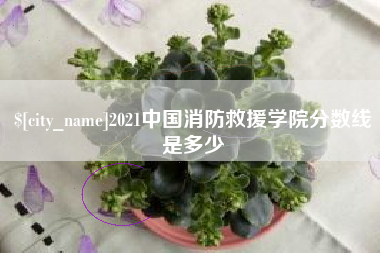 海拉尔2021中国消防救援学院分数线是多少