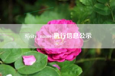 海拉尔执行信息公示