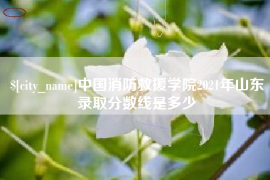 海拉尔中国消防救援学院2021年山东录取分数线是多少