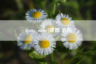 海拉尔成都 消防