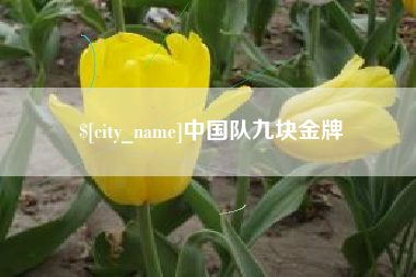 海拉尔中国队九块金牌