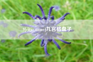 海拉尔九宫格盘子