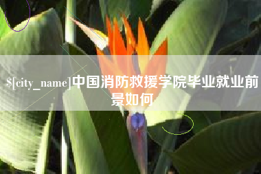 海拉尔中国消防救援学院毕业就业前景如何